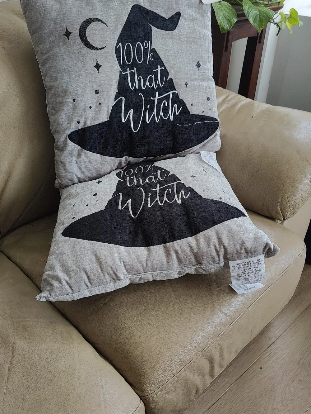 Halloween Decor Set of 2 Gothic 100% That Witch Throw Pillows